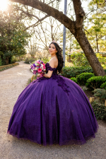 Quinceanera-Photographer-9